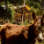 Quinta Alma - Ecological Retreat Farm ألخيزور