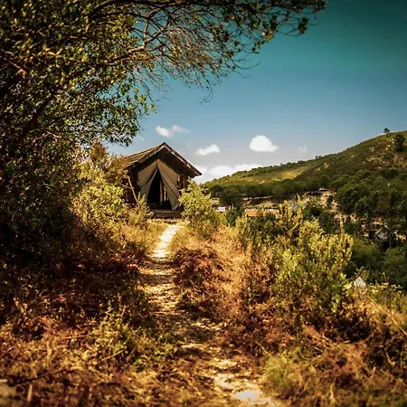 Campo de lujo Quinta Alma - Ecological Retreat Farm