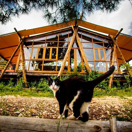 Quinta Alma - Ecological Retreat Farm * Aljezur