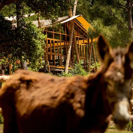 Quinta Alma - Ecological Retreat Farm Aljezur