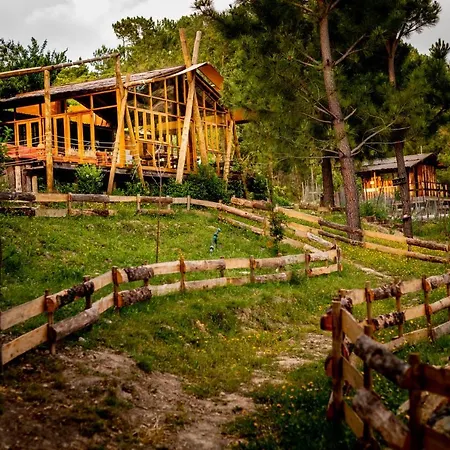 Quinta Alma - Ecological Retreat Farm خيمة فخمة
