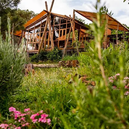 Quinta Alma - Ecological Retreat Farm