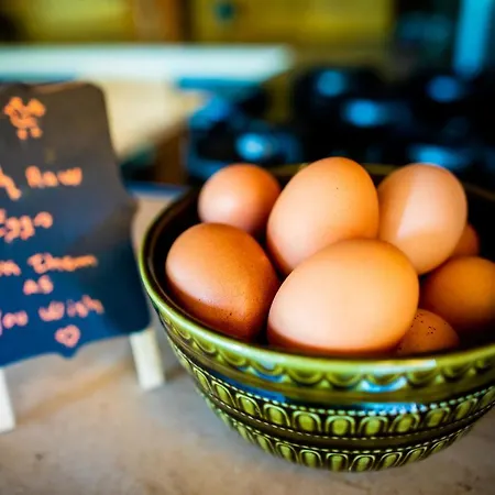 Quinta Alma - Ecological Retreat Farm Роскошный шатер *