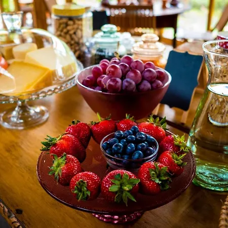 Quinta Alma - Ecological Retreat Farm * Алжезур