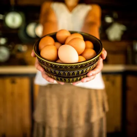 Quinta Alma - Ecological Retreat Farm *